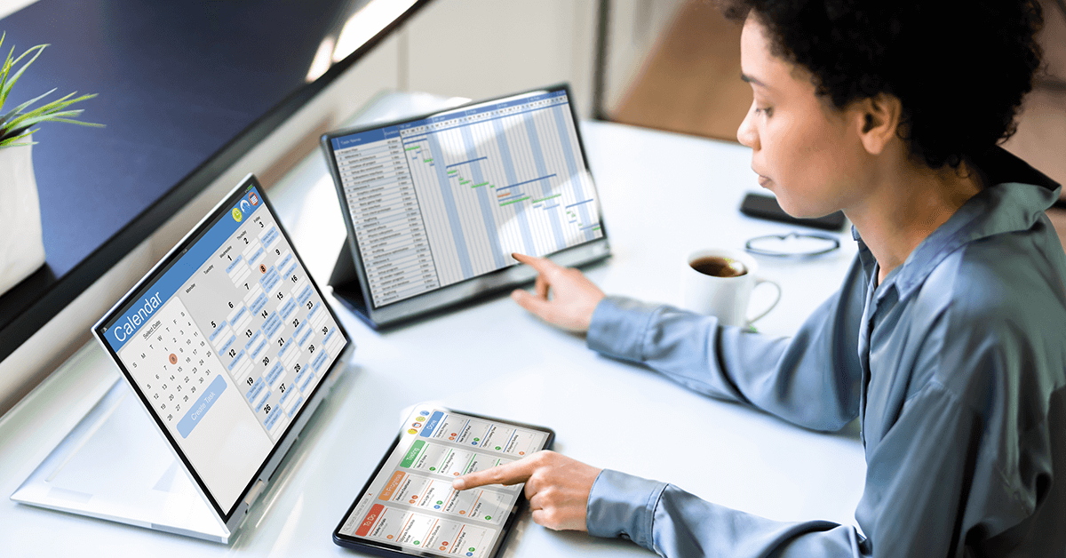 Business owner reviewing a 12-month profit plan and budget